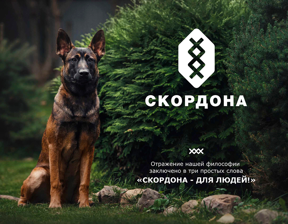 Питомник собак Скордона