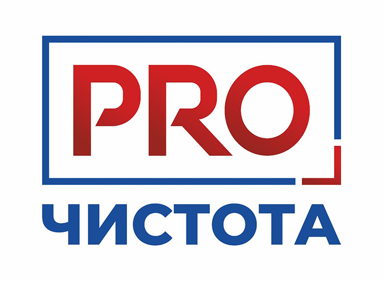 Чистота про - разработка логотипа