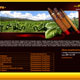 Opusx сигары